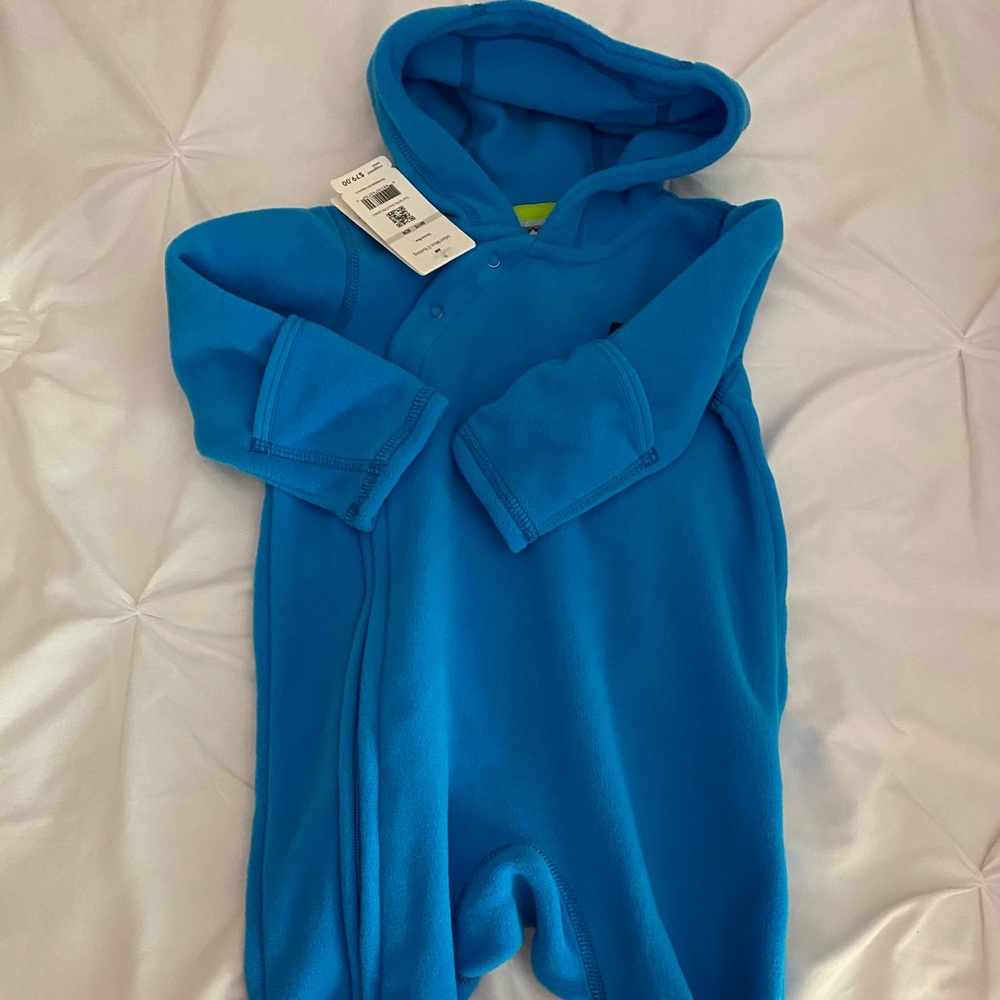 Patagonia Bunting
